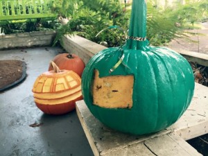 Our teal pumpkin